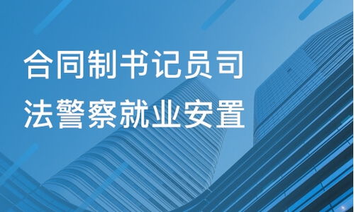 山東金柘教育與淘學(xué)培訓(xùn) 教育咨詢(xún)服務(wù)的真實(shí)體驗(yàn)與深度解析