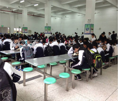 智慧餐飲服務(wù)與教育咨詢(xún) 一站式解決方案，助力企業(yè)發(fā)展